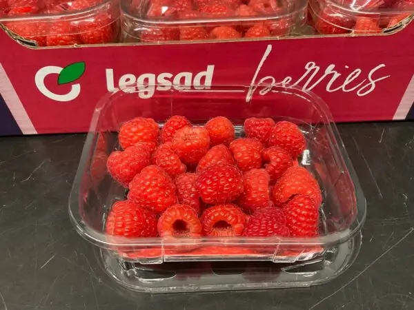Hindbær 125 Gr. PT