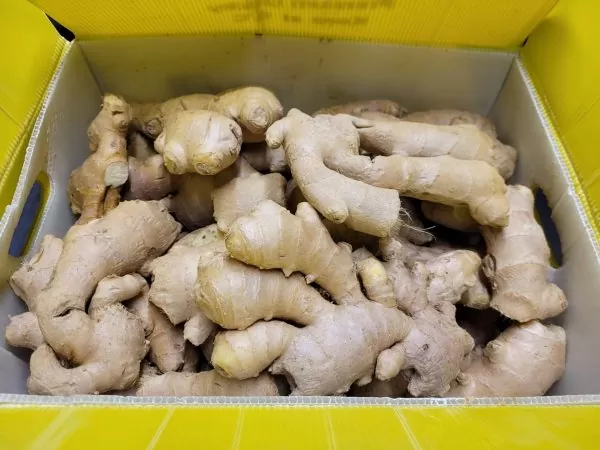 Ingefær 1 Kg. CN