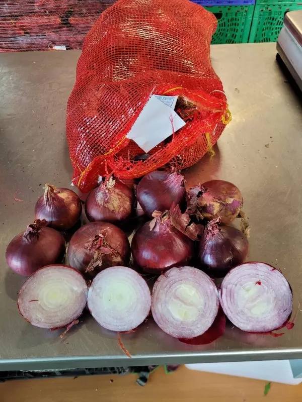 Løg RØDLØG 5 Kg. DK