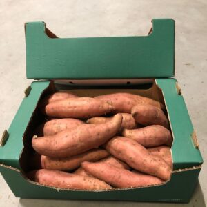 Sweet POTATO 1 kg. US