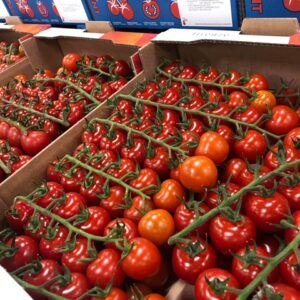 Tomater CHERITA 3 Kg. NL