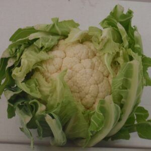 Blomkål  8 Stk. ES