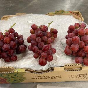 Vindruer Red Globe 1Kg. PE